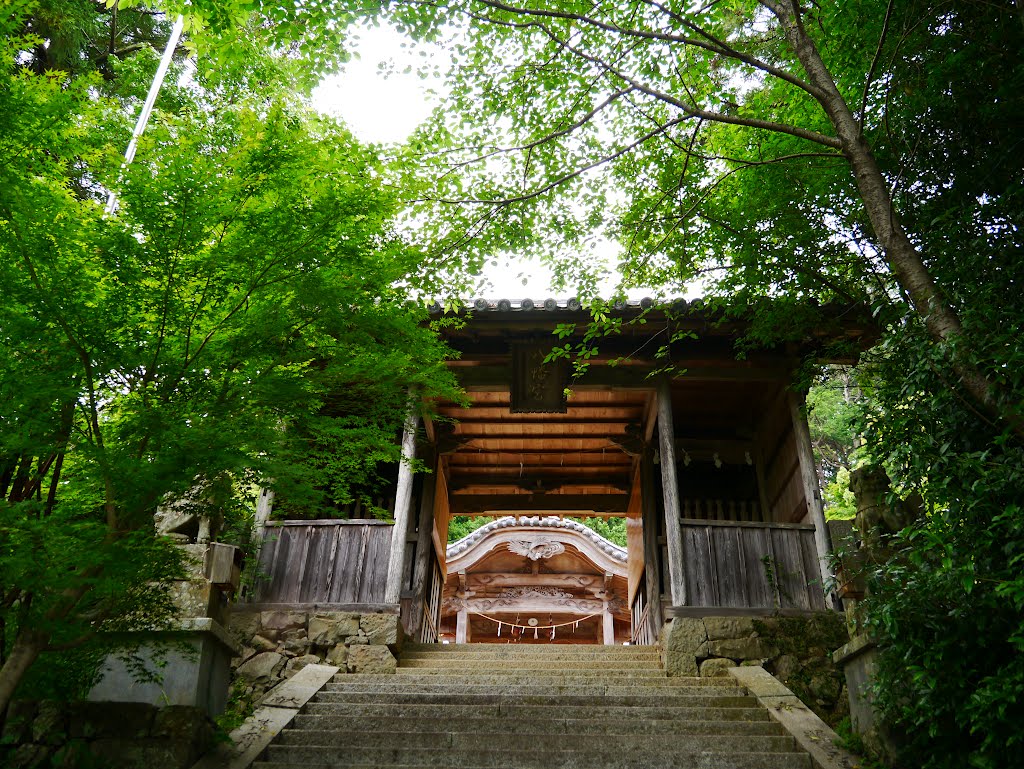 大宮八幡神社　神門（随神門・随身門） by folon X