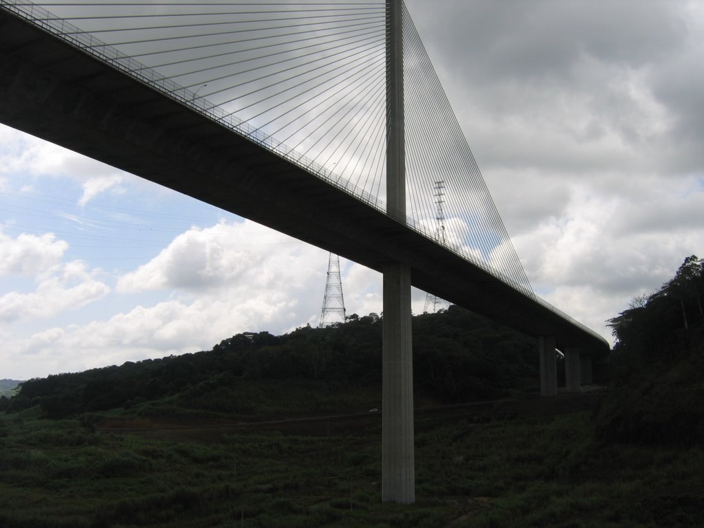 Centenario Bridge by perkins4