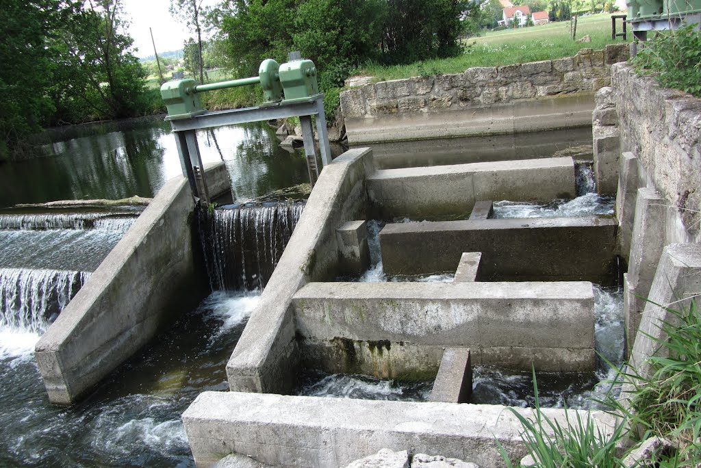 Fischtreppe bei Stedten by landy51