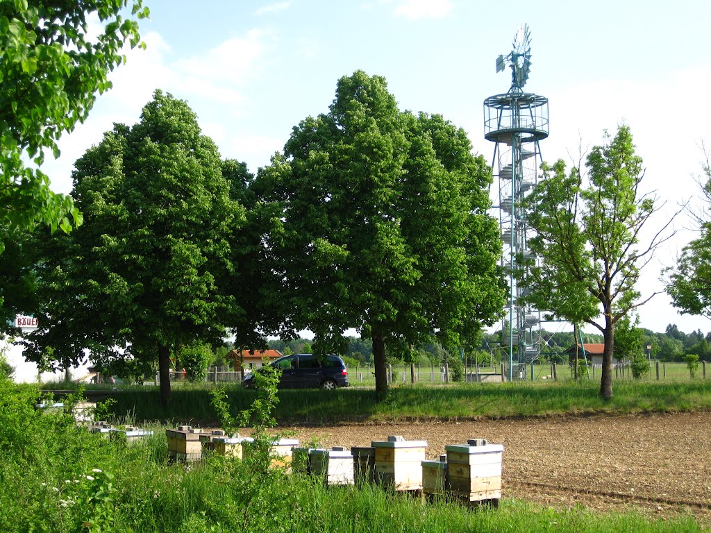 Dinner for One - the same procedure as every year, but without wine and for more than one bee - Bienenstock in Gronsdorf bei München am Riemer Park by AndiN