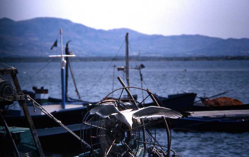 Port of Sant'Antioco by urlaubsardinien.net