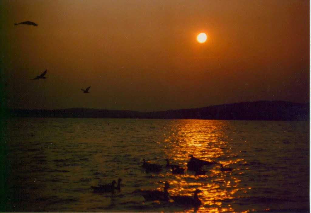 Raquette Pond on Tupper Lake, sunset, aug 25, 1991 by Tom Dudones