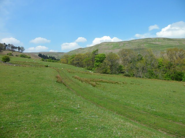 Track in the Campsie Fells by seventiescopshow