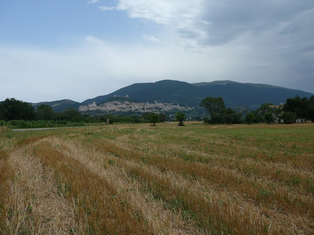 Assisi dalle stoppie by Angelo Rosanio