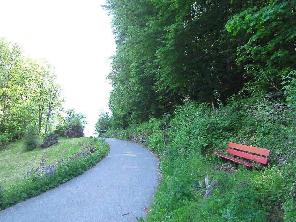 Wanerweg am Walensee, ob Murg by topweg.ch