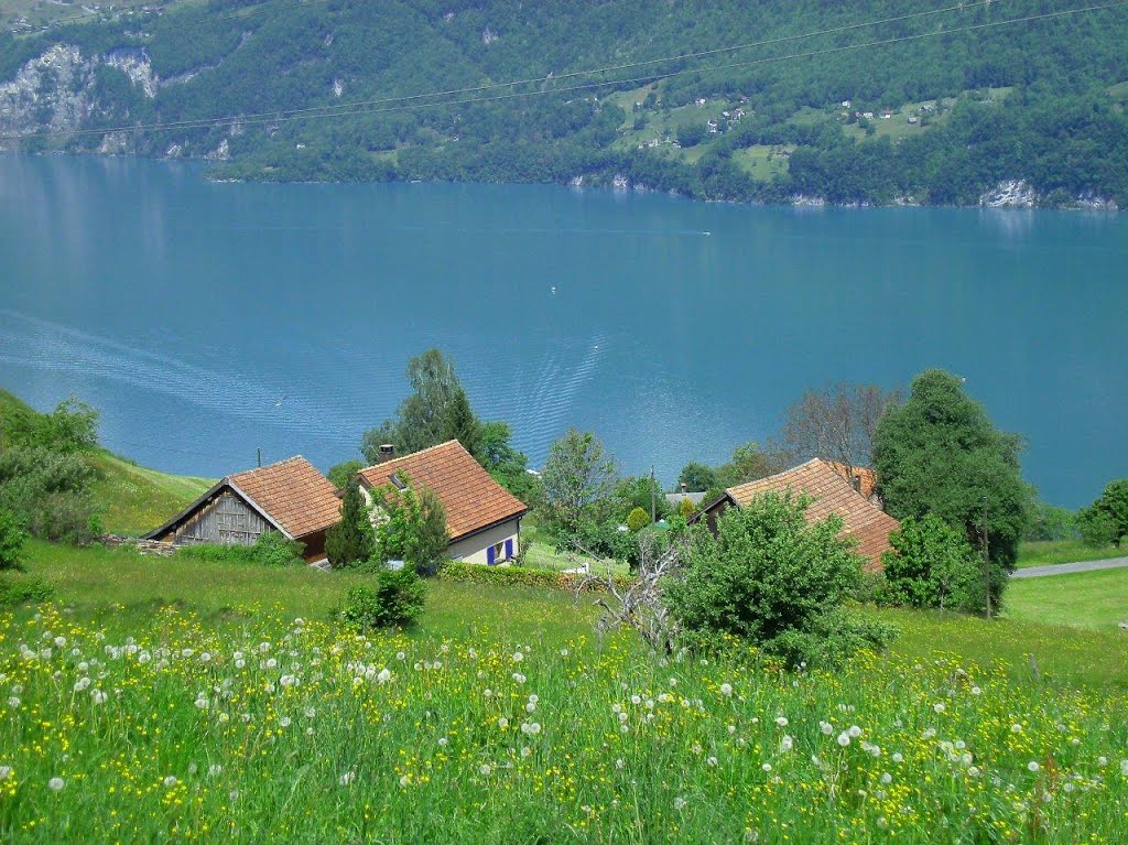 Wanderweg über dem Walensee by topweg.ch