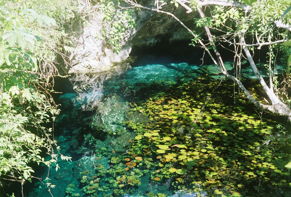 Grand Cenote by srdeck