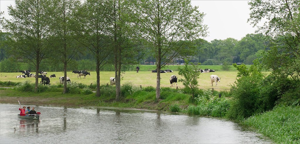 Meanderende Regge, mooi voor mens en dier pano by Jan.van.Aartsen