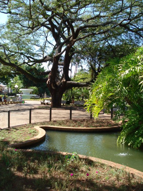 Praça Barão de Araras - no coração de Araras by LPSLPS