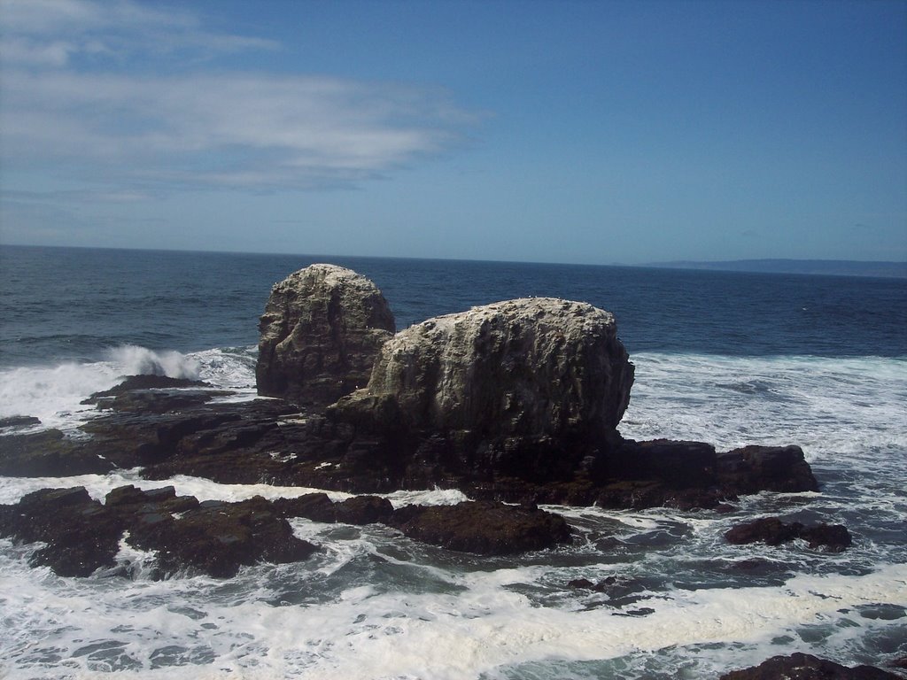 Punta de Lobos by Rodrigo Muñoz