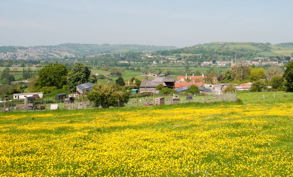 Buttercup Meadow looking Bath by Snapp3r