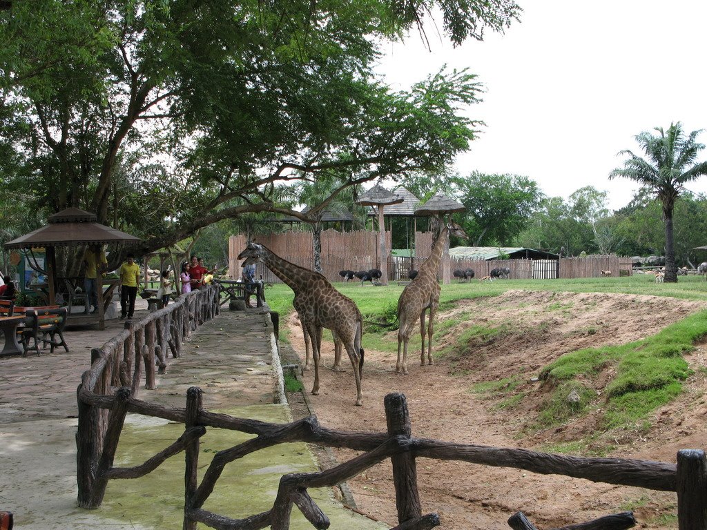 Khao Khew Open Zoo, Thailand by Yuri Vaschenkov