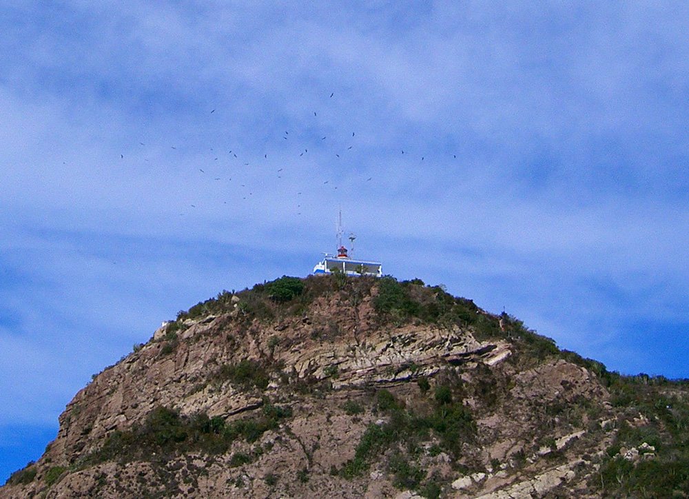 Birds over the lighthouse by Bill Cook