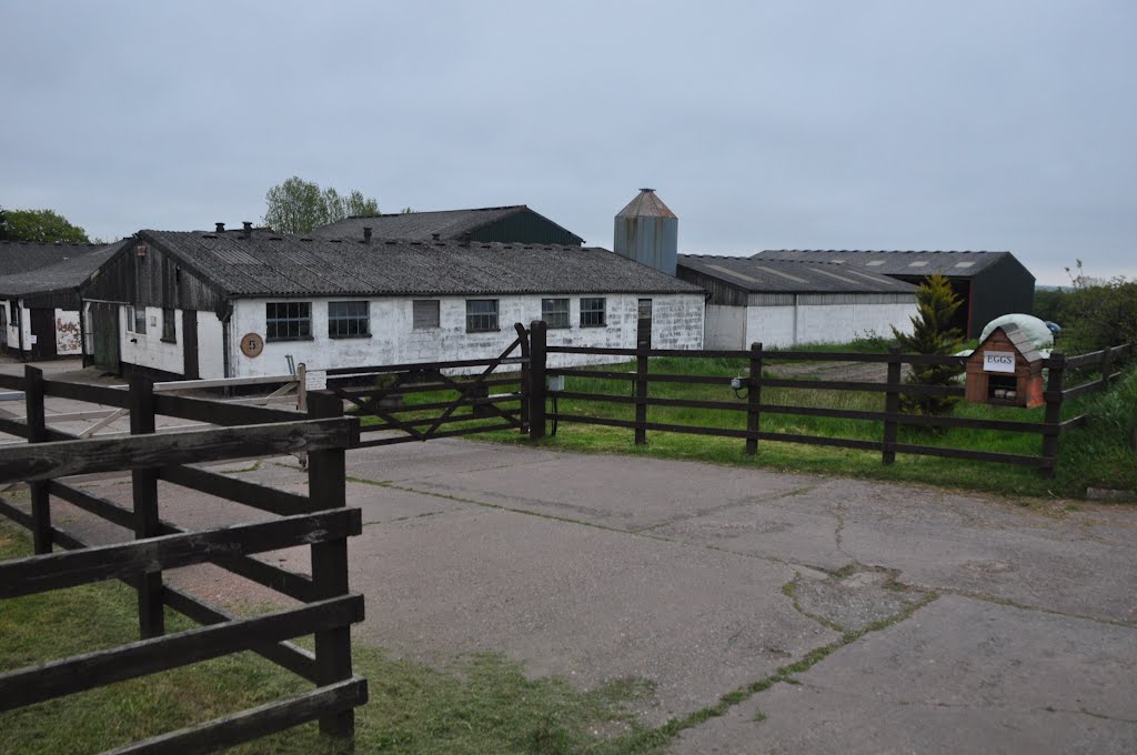 North Devon : East Burrow Farm by A Photographer