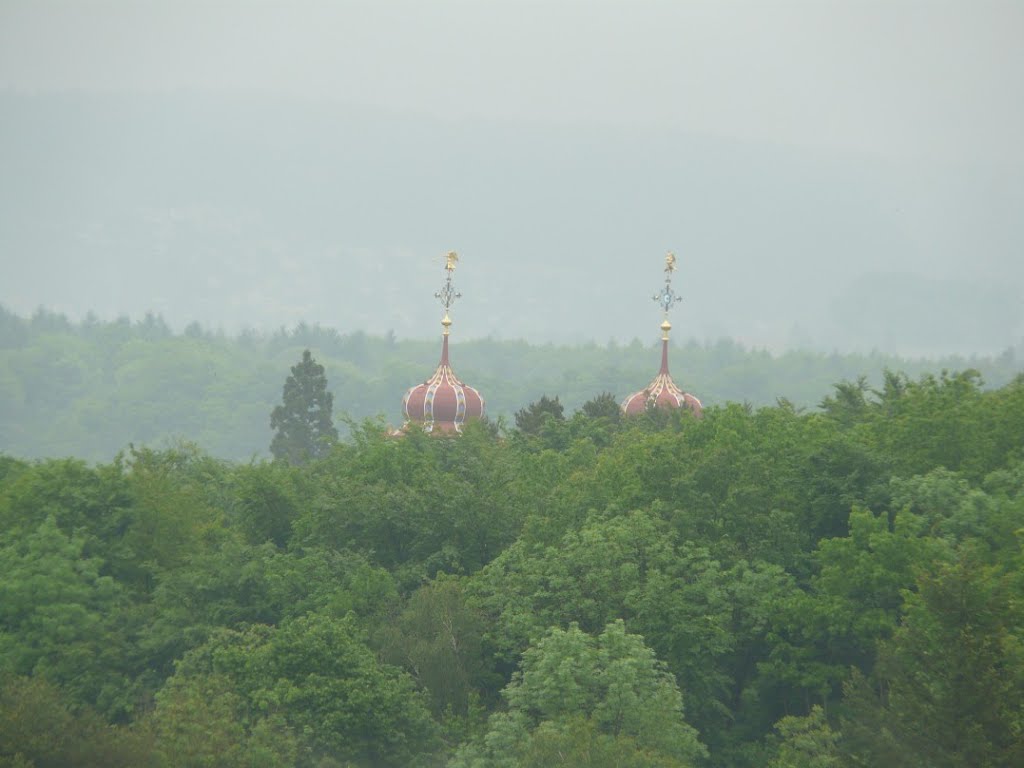 Kirchturmspitzen des Klosters Rheinau tauchen überm Wald auf by uglans