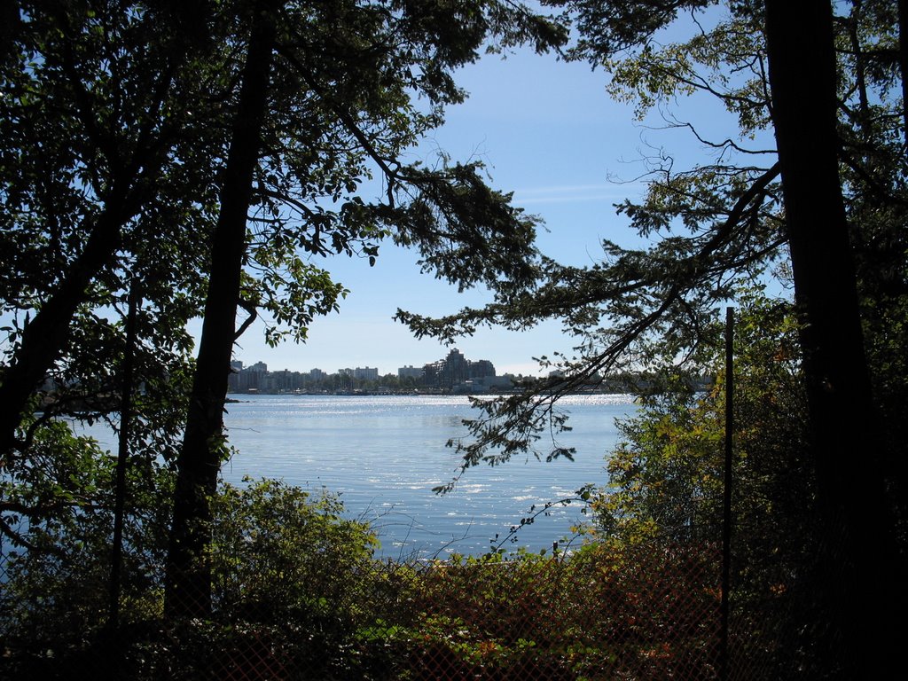 Looking Across the Inner Harbour by John Ellis