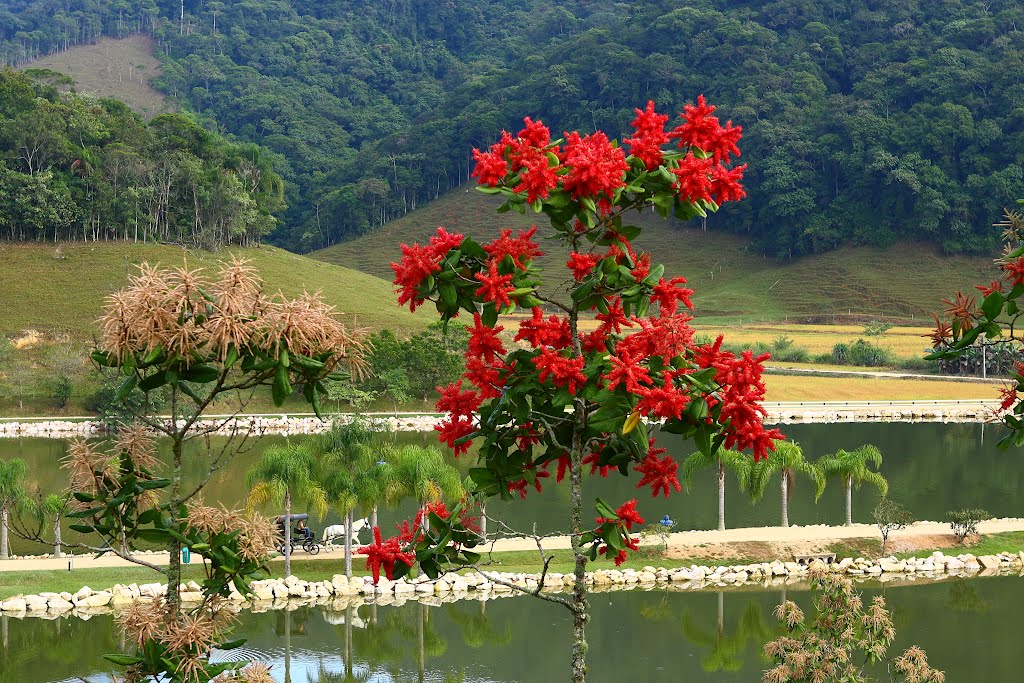 FAZZENDA PARK HOTEL. Eleito por seus hóspedes e leitores da Revista Viagem e Turismo como um dos melhores hotéis-fazenda do país, você tem a garantia de uma hospedagem de ótima qualidade e atendimento! GASPAR - SANTA CATARINA - BRASIL. Maio de 2012. by meirelesevandro