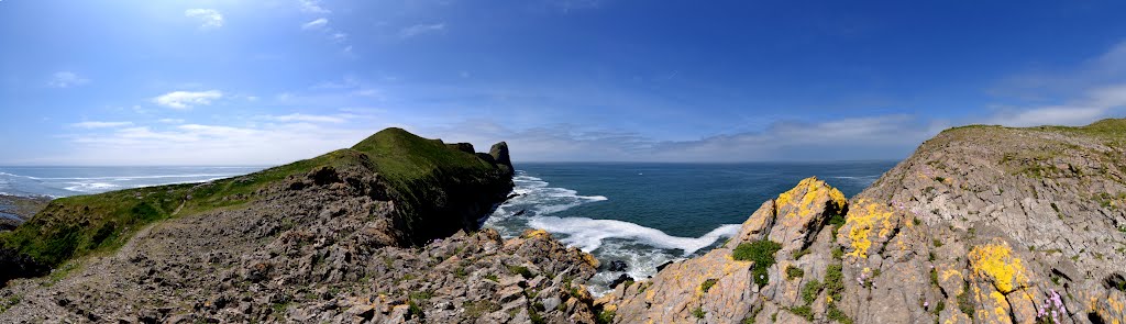 Worms head from the devils bridge - rhossili by fat-freddies-cat