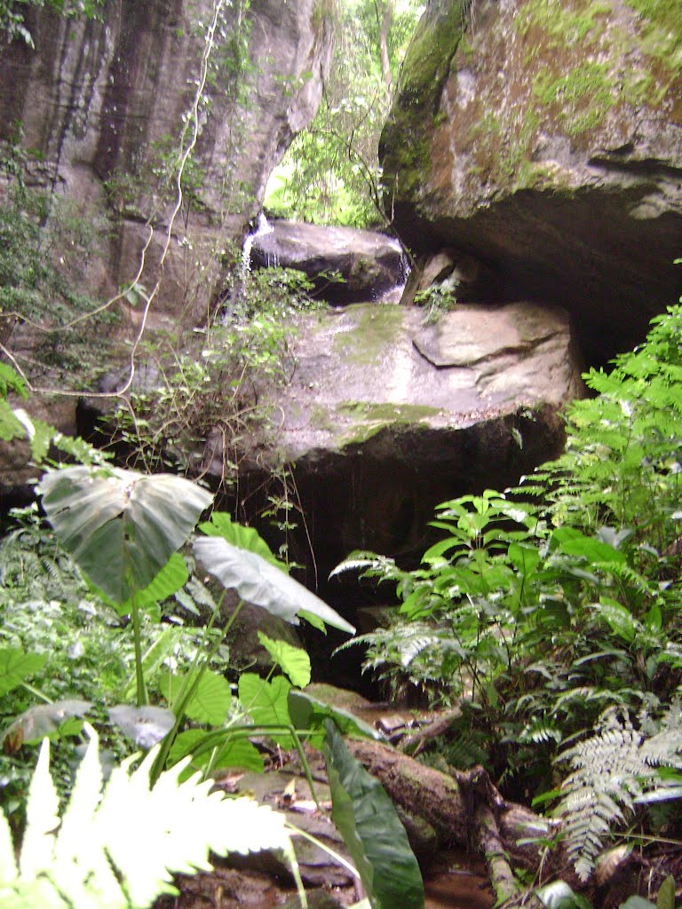 Córrego Bananal do Bugre, São Geraldo da Piedade - MG by Gustavo Sturzenecker Moreira