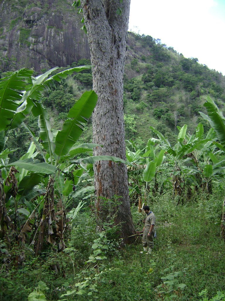 Córrego Bananal do Bugre, São Geraldo da Piedade - MG by Gustavo Sturzenecker Moreira