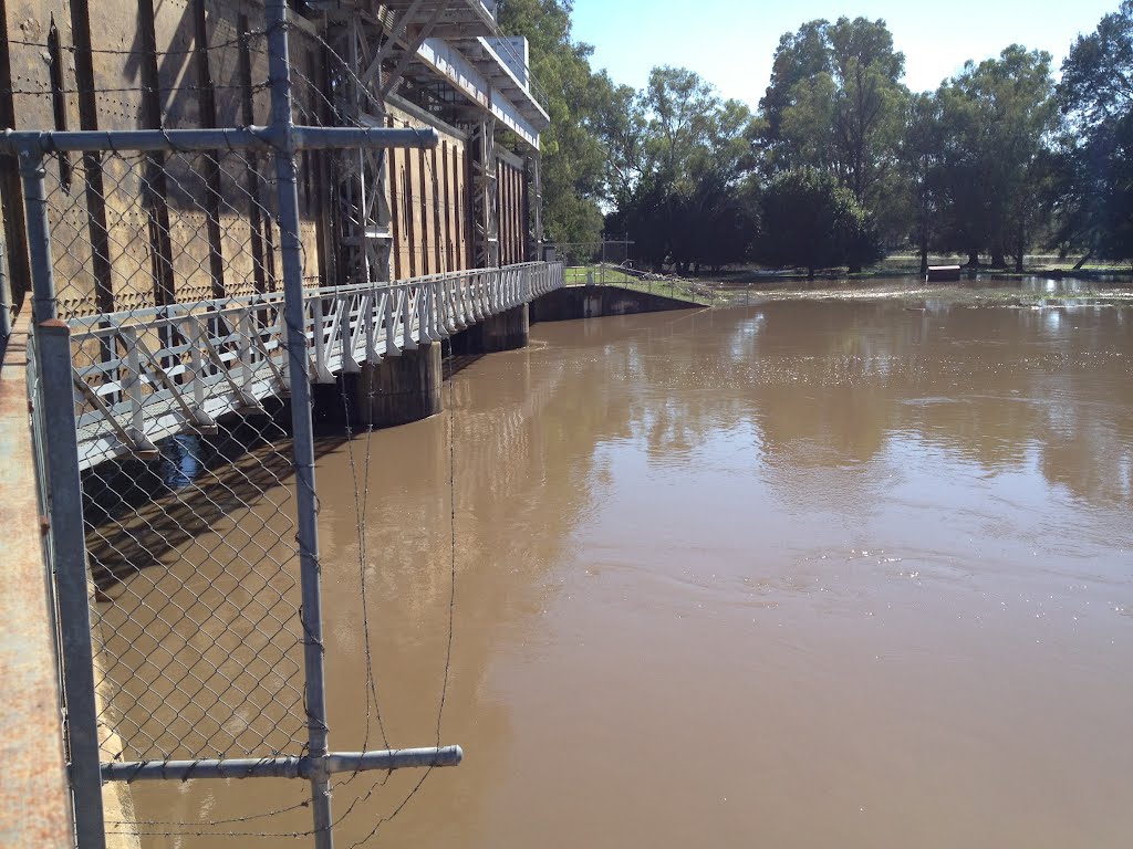 U/S Jemalong Weir all gates opend during March 2012 Floods NSW by Dr Muhammad J  Siddiqi