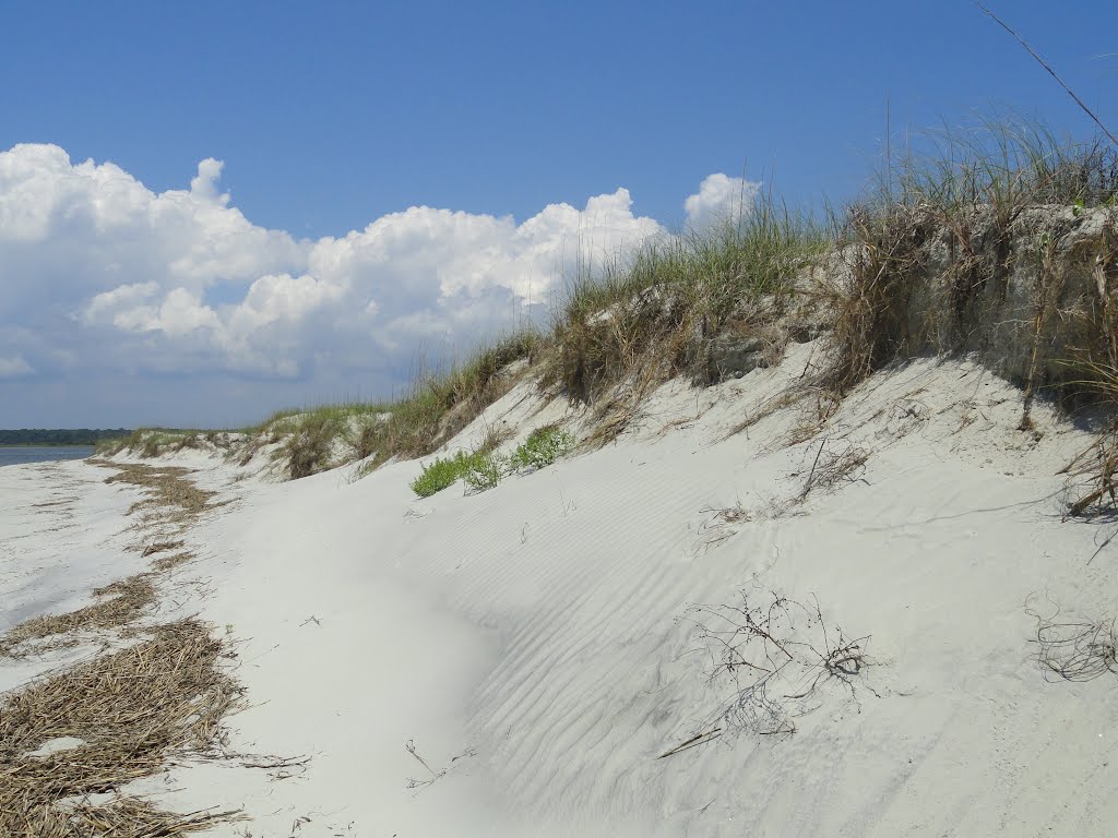 2012 Bird Island NC Sand Dunes by Dean Sylvester