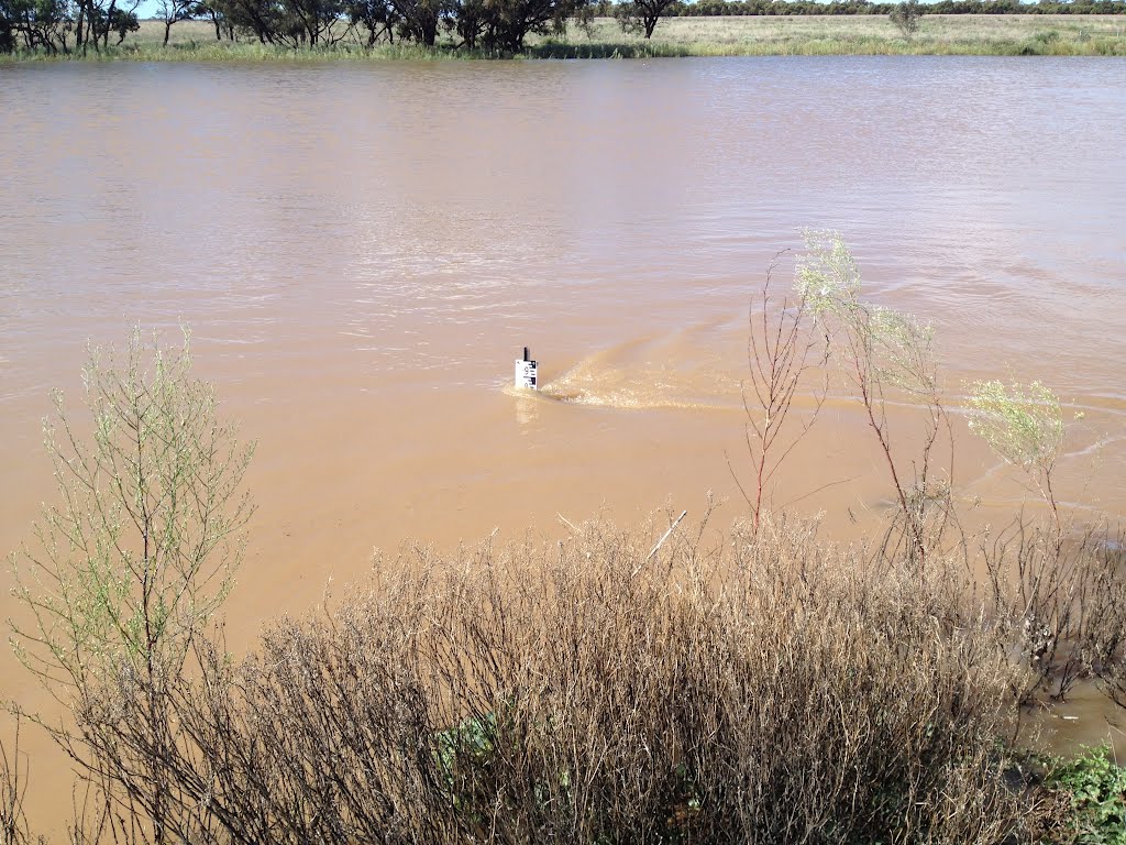 Lake Brewster NSW by Dr Muhammad J  Siddiqi