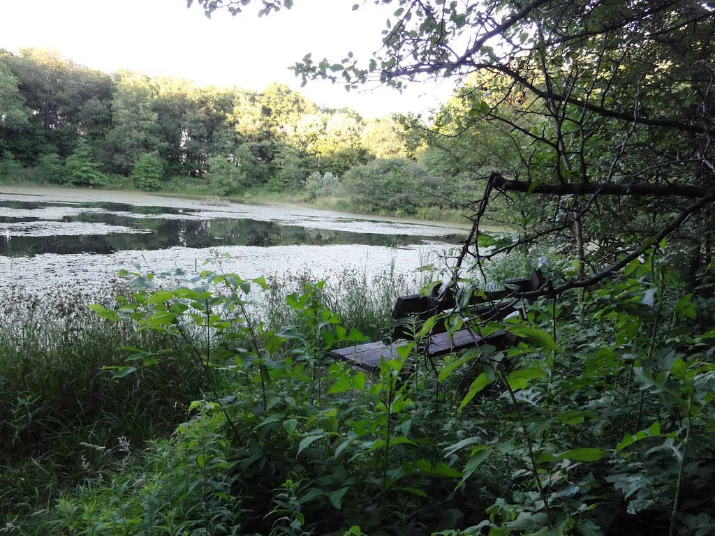 Pond in distance 4 by waterlgndx