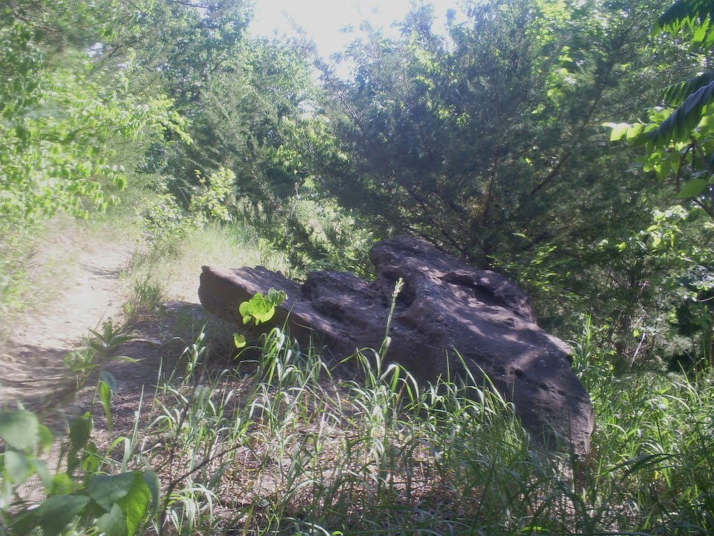 Indian Rock Park, Sitting Hipo Rock by "Teary Eyes" Anderson