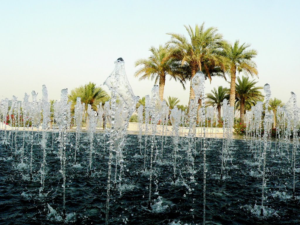 Abu Dhabi - Sheikh Zayed Grand Mosque by balwinder jamwal