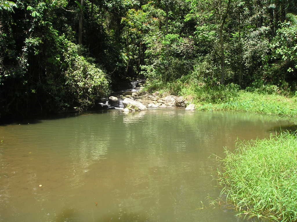 Malingon Creek by qzx