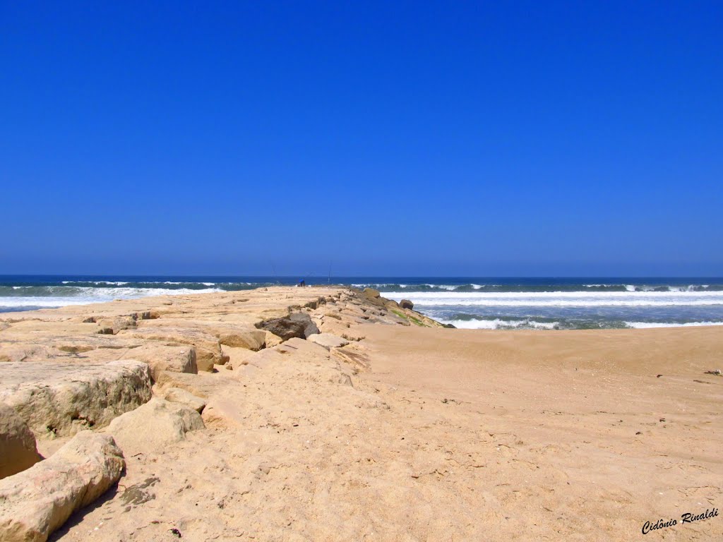 Costa de Lavos- Figueira da Foz - Portugal by RinaldiCidonio