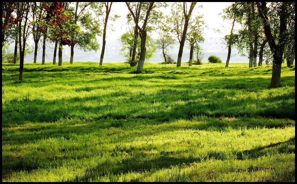 Parcul Tăbăcăriei by Sergiu Gabriel Sîrbu