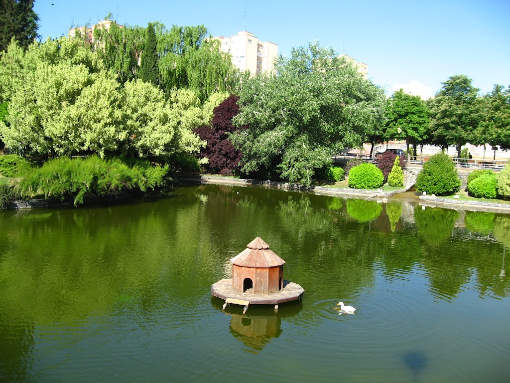 Lago de San Fernando de Henares by Frank Pámar