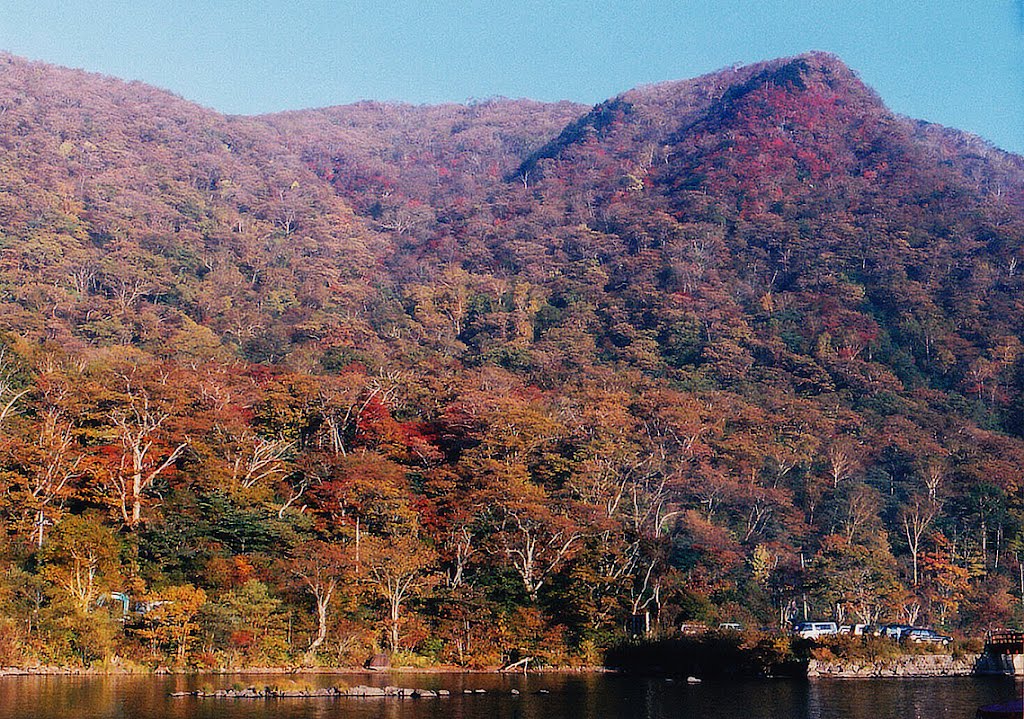 紅葉　大沼湖畔 by Ken Matsu