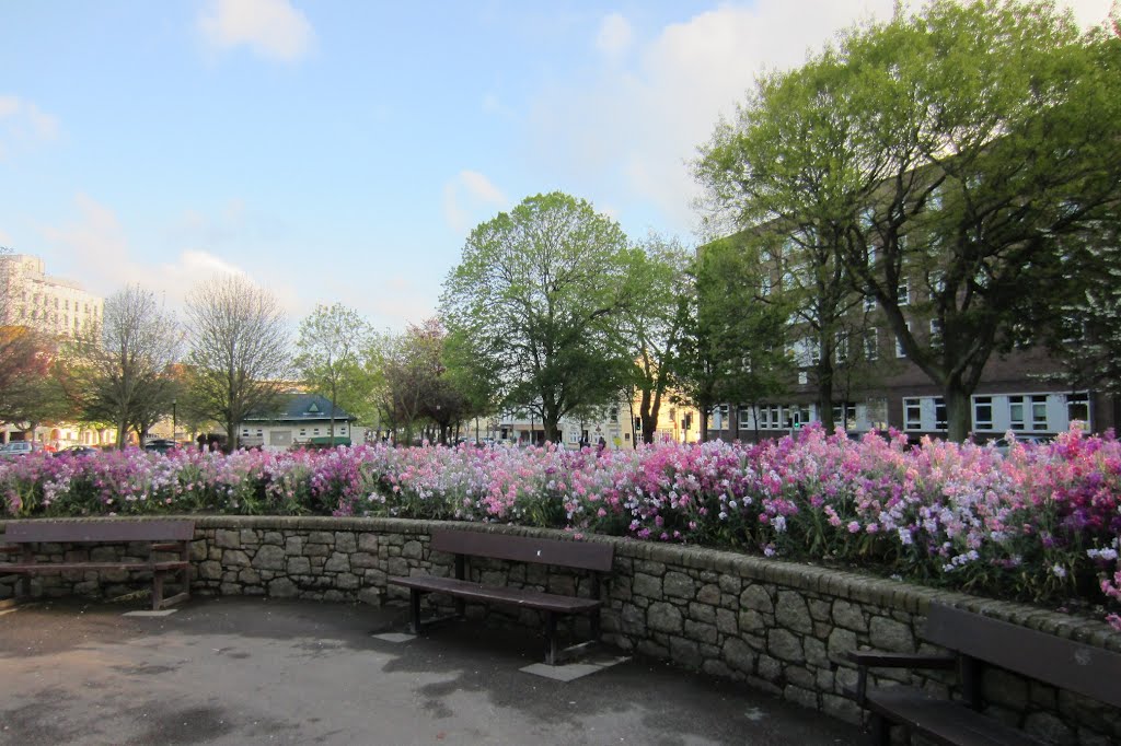 Flowers In Parade Gardens by njellis