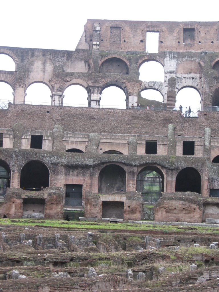 Colosseo by Emanuela Meme Giudic…