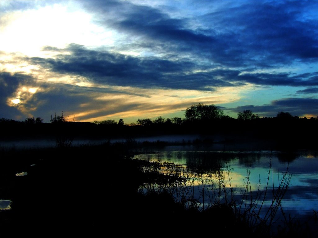 Lake at Waverley Abbey, Surrey 2008 by simon_patrick