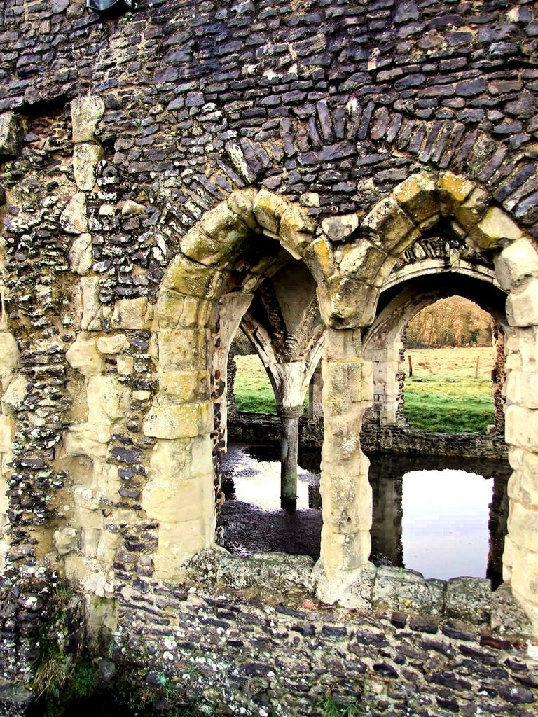 Waverley Abbey, Winter 2008 by simon_patrick