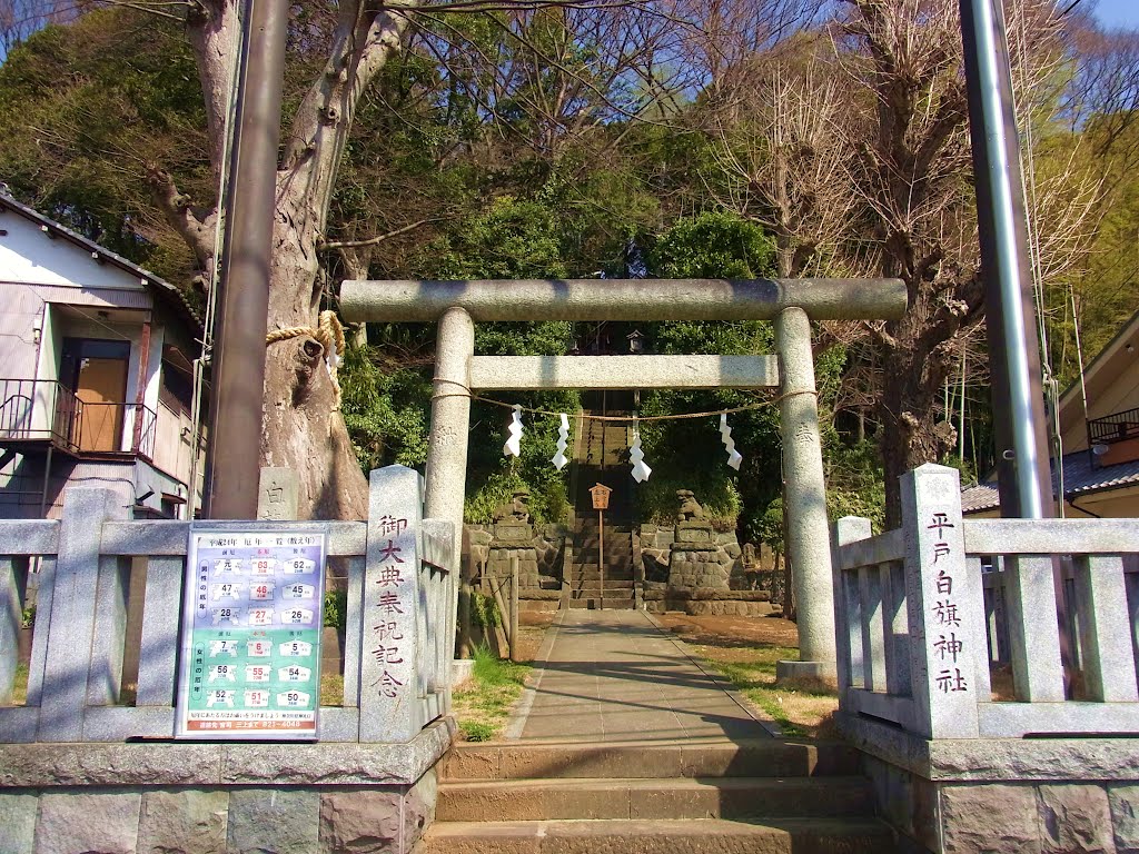 平戸白幡神社　鳥居 by 霧立ノボル