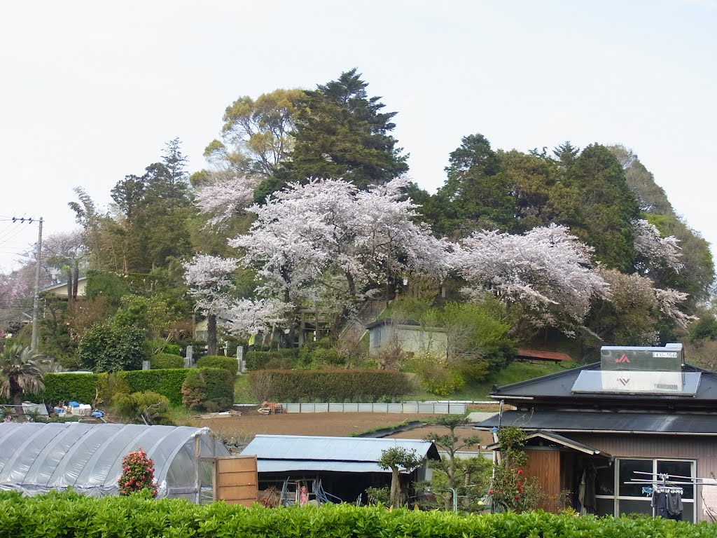 熊野神社　川上町　遠景 by 霧立ノボル