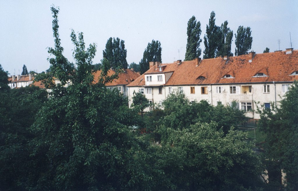 Landscape from my window by andrzej polak