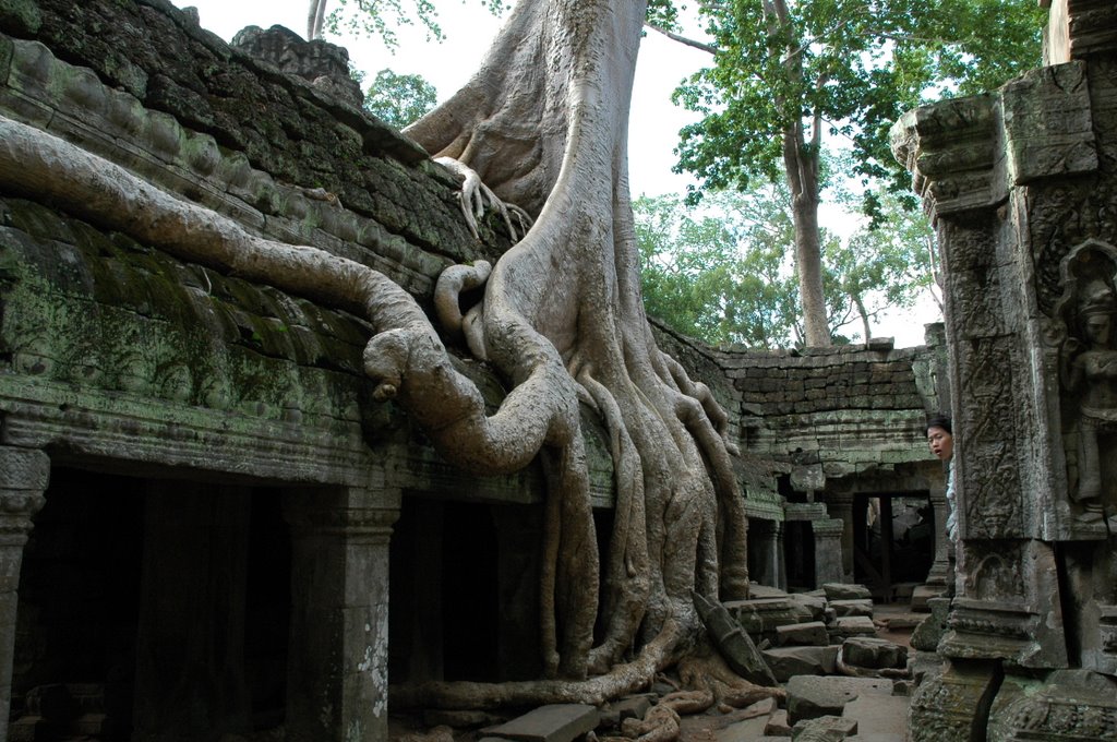 Ta Prohm 1 by el blogueiro