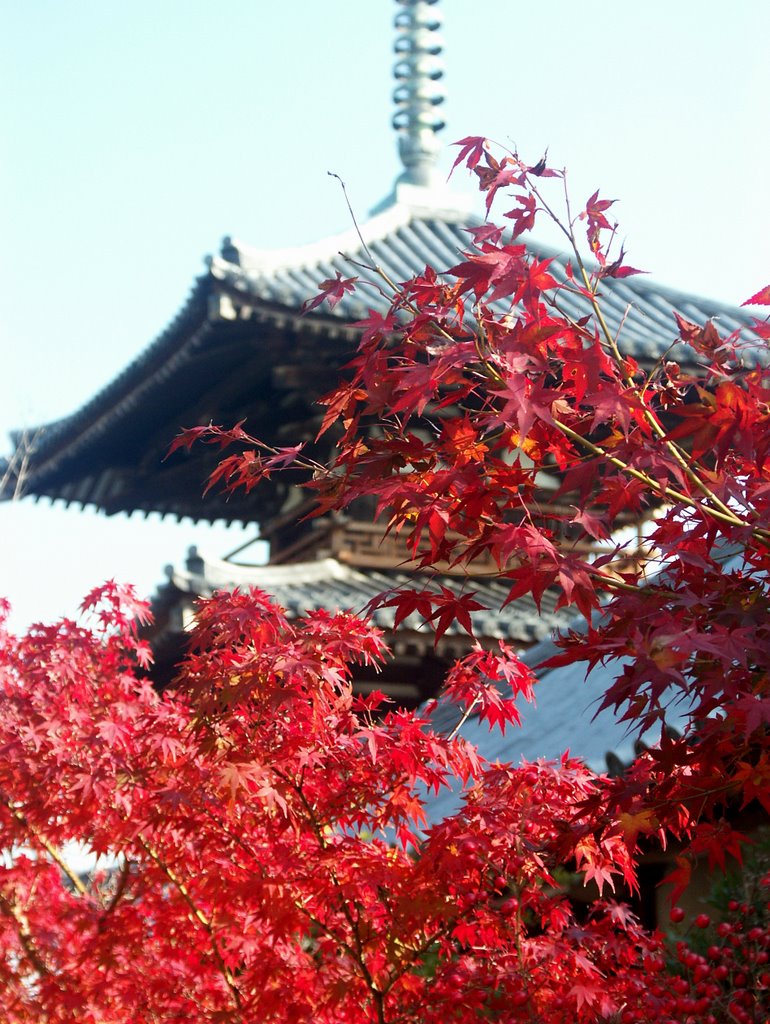 Hoki-ji Temple by Matt Habjan