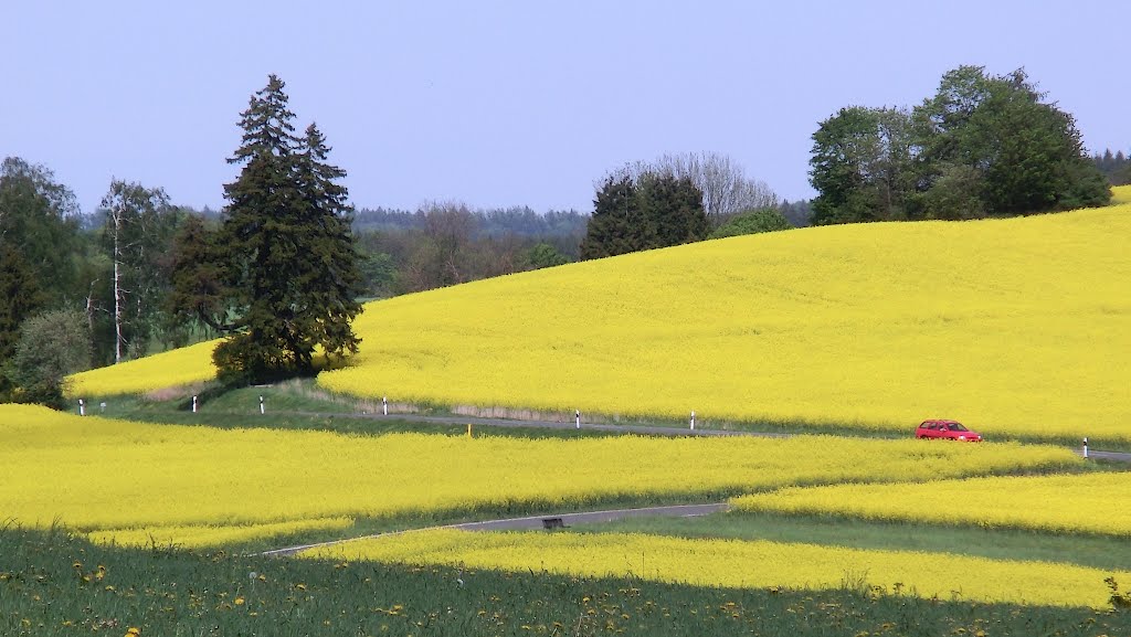 Bei Lochau by Alfred Walter