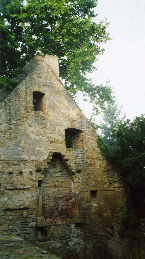 Remains of 12th century wayfarers hostel at the Klosterberg near Odernheim, Germany by mlhess