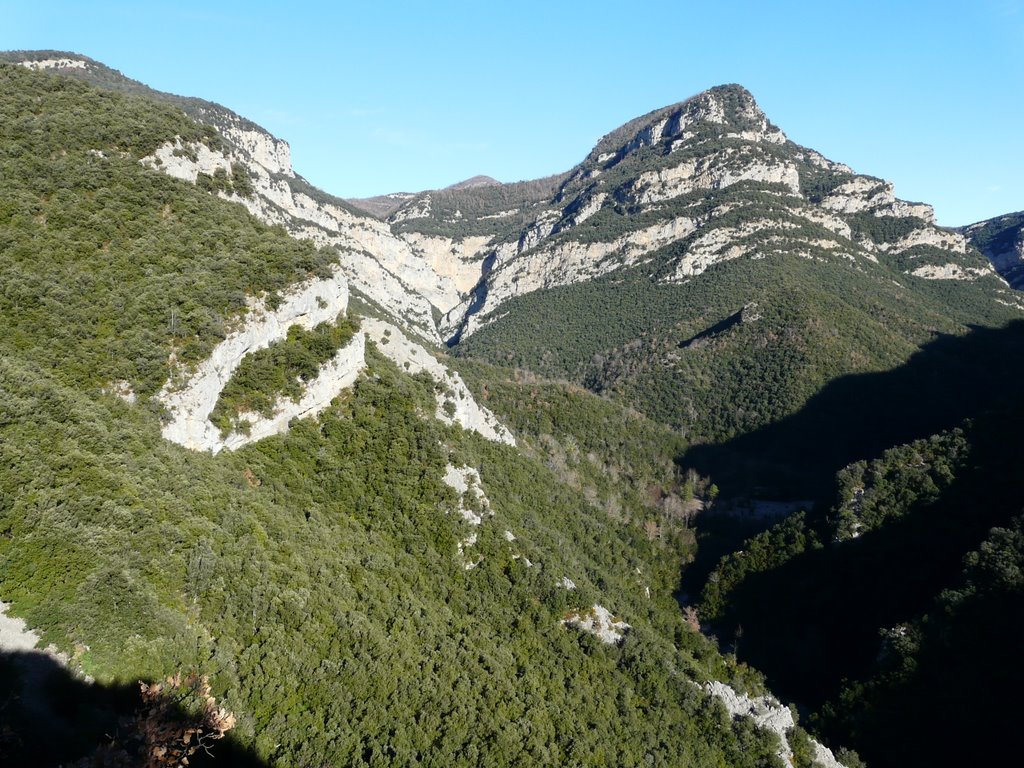 Des del salt de la nuvia, vall de sant aniol by ramonriera