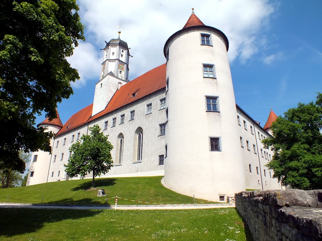 Schloss Höchstädt - Süd-West-Ansicht by trexico69