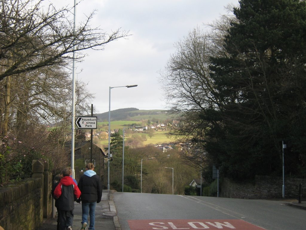 Looking across from the canal in Marple by lyle600