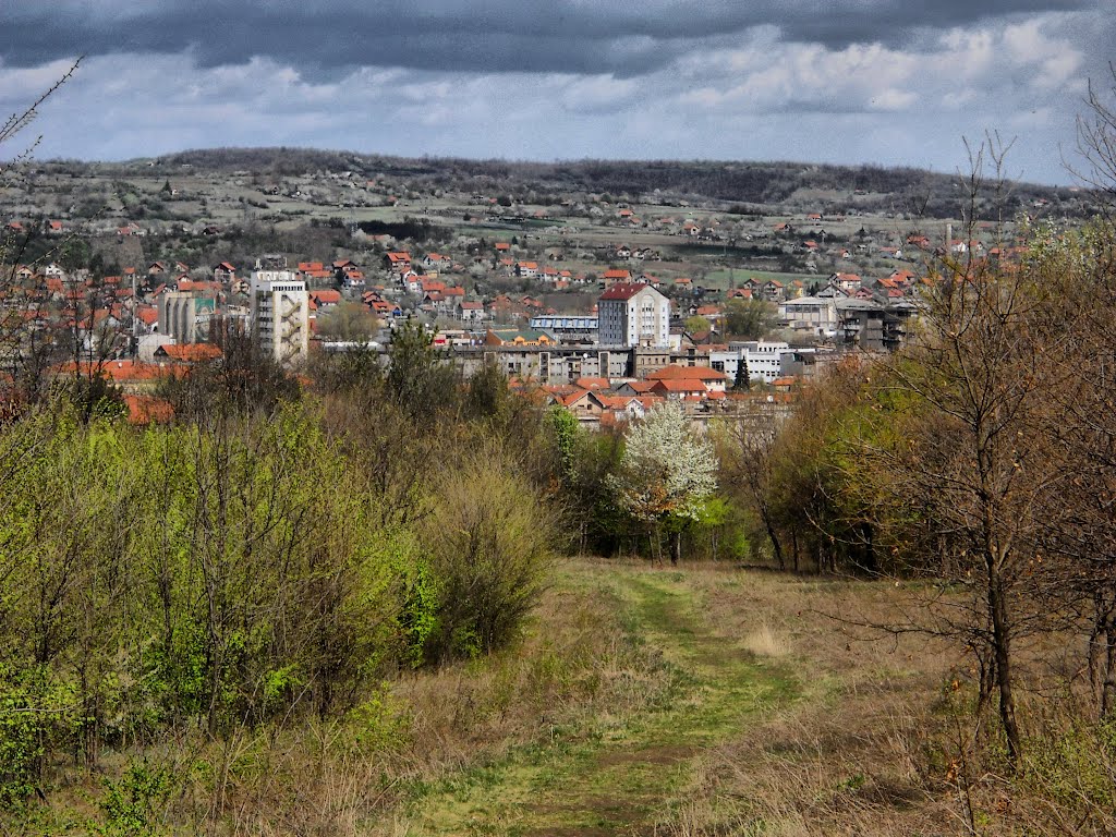 Pogled na grad Zajecar / park šuma Kraljevica [ 012 ] by adeksico